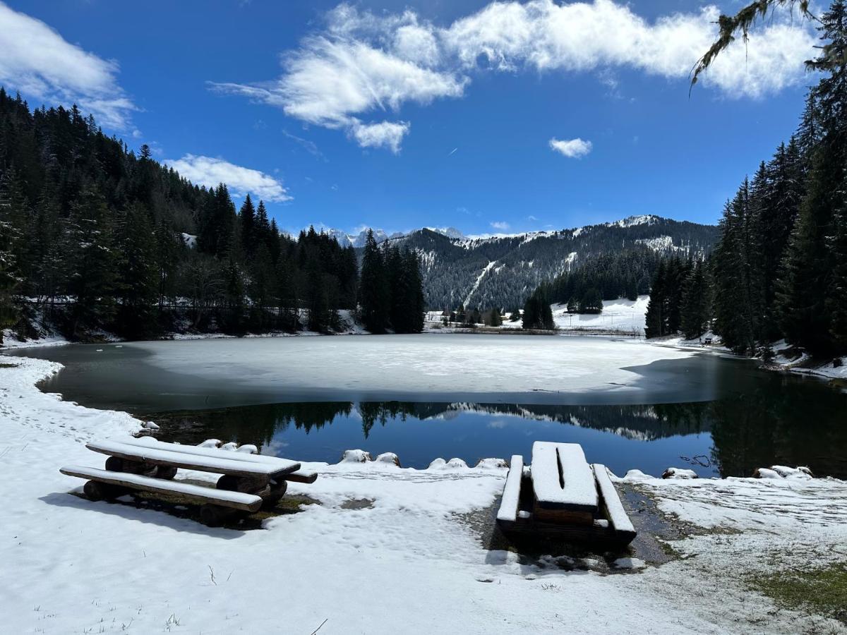 Вилла Chalet Du Bonheur Bonnevaux  Экстерьер фото