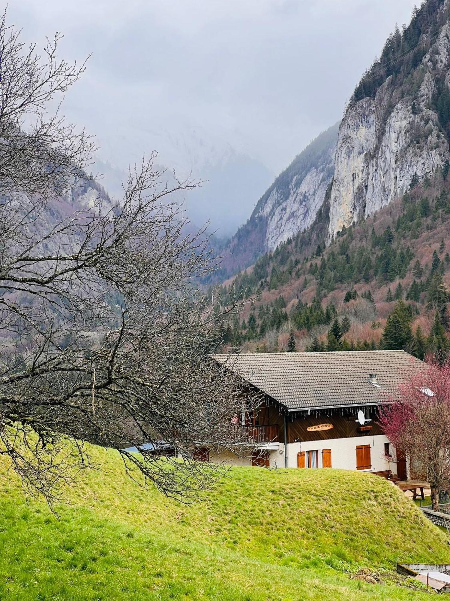 Вилла Chalet Du Bonheur Bonnevaux  Экстерьер фото