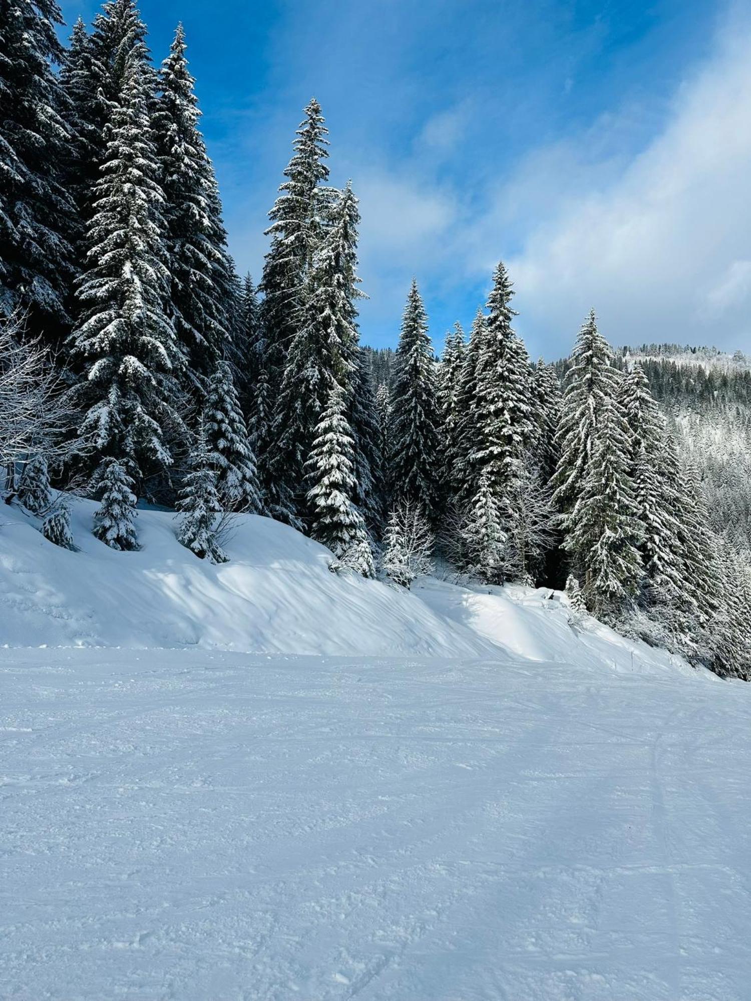 Вилла Chalet Du Bonheur Bonnevaux  Экстерьер фото